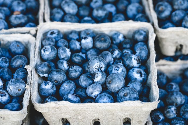 Los Arándanos - Frutas con Mayores Beneficios para la Salud